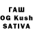 Псилоцибиновые грибы Magic Shrooms Shura K