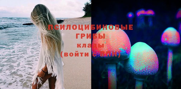 прущие грибы Алзамай