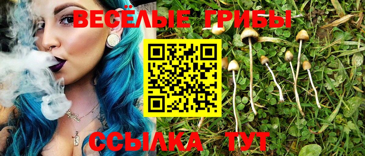 Галлюциногенные грибы GOLDEN TEACHER Набережные Челны